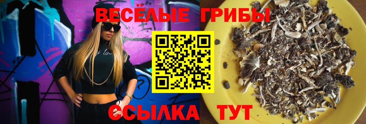 Галлюциногенные грибы мухоморы Острогожск
